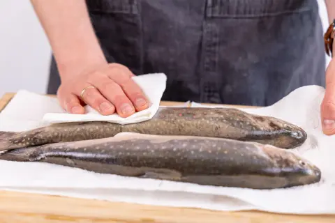 Zwei frisch gefangene Saiblinge werden auf Küchenpapier gelegt. Ein Mann trocknet einen der Fische ab.