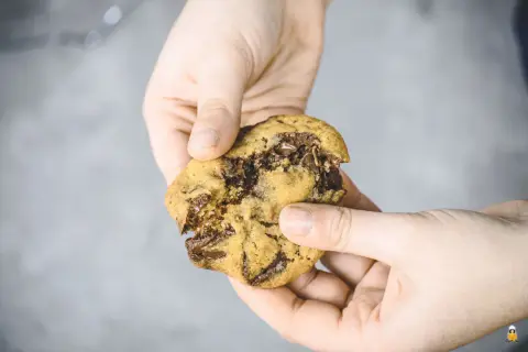 Hände halten einen frisch gebackenen Chocolate Chip Cookie, der nach mehr schmeckt. Der Teig ist perfekt gebacken, mit geschmolzenen Schokoladenstückchen.